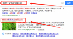 黑龍江省鶴崗市春鷹米業(yè)有限公司與本司簽約網站開發(fā)協(xié)議
