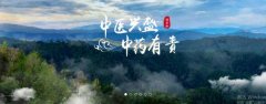 普洱淞*醫(yī)藥集團有限公司網(wǎng)站建設(shè)新一代自助建站、智能建站系統(tǒng)
