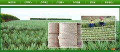 廣西玉林市長(zhǎng)*劍麻有限公司企業(yè)網(wǎng)站建設(shè)新一代自助建站、智能建站系統(tǒng)