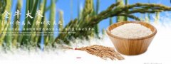 京山市金*米業(yè)有限公司做網站可視化建站作品欣賞